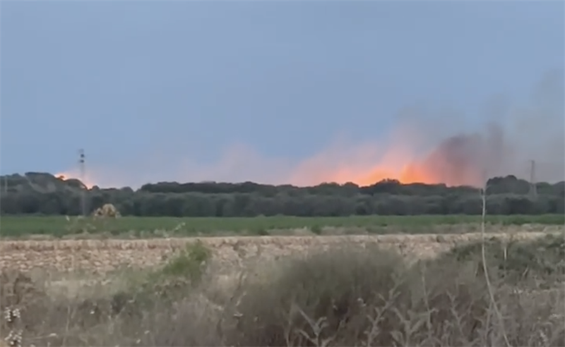 Lavocedimanduria It Manduria Tre Ettari Di Fuoco Sfiorano I Cuturi E