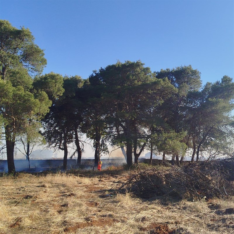 Fiamme minacciano la pineta Bonsignore, intervengono i volontari di Manduria e Torre