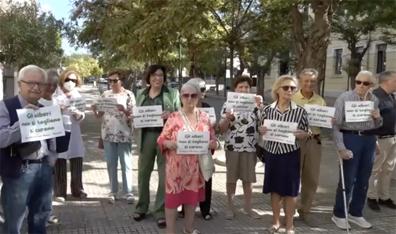 Il destino delle robinie, altro No al dialogo dell’amministrazione Pecoraro 