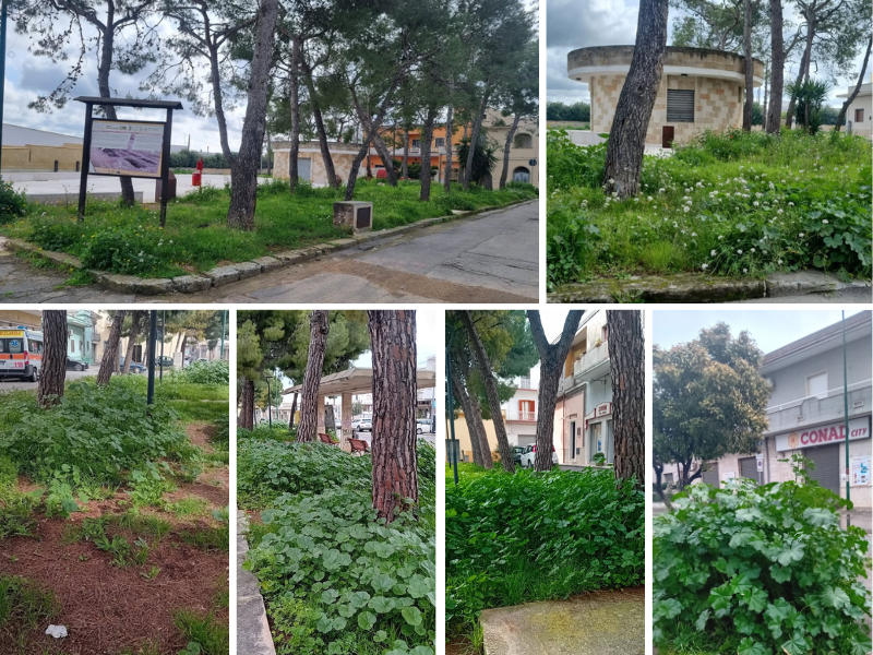 Foreste urbane, il biglietto da vista per il turista 