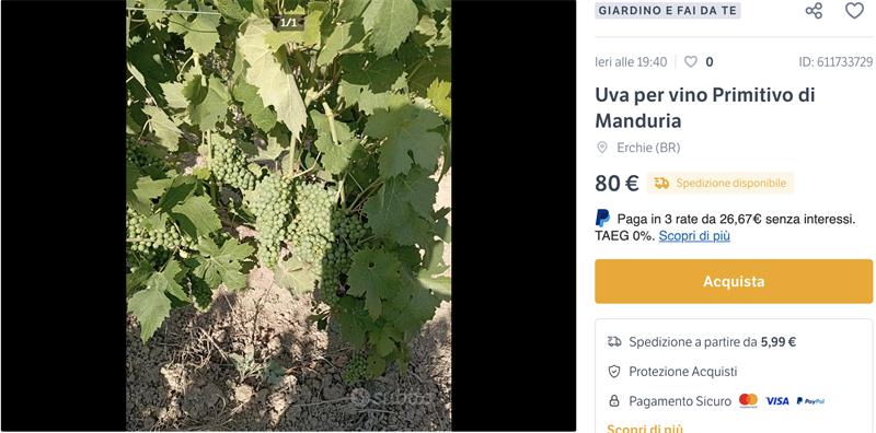 Subito.it sdogana le uve "per vino Primitivo di Manduria"