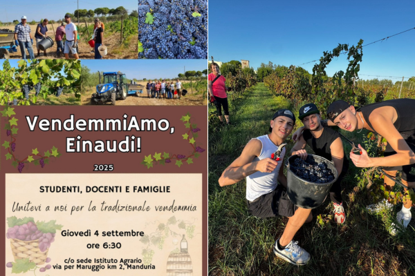 “VendemmiAmo, Einaudi!”: studenti, docenti e famiglie tra i filari