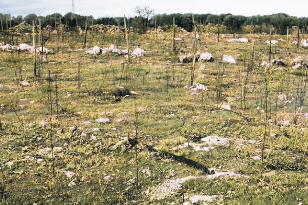 Appello alla Chiesa per l’ambientalismo di facciata del sindaco Pecoraro