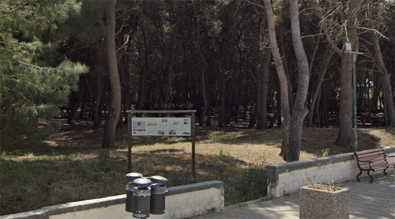 Riqualificazione della pineta, 20mila euro per il progetto