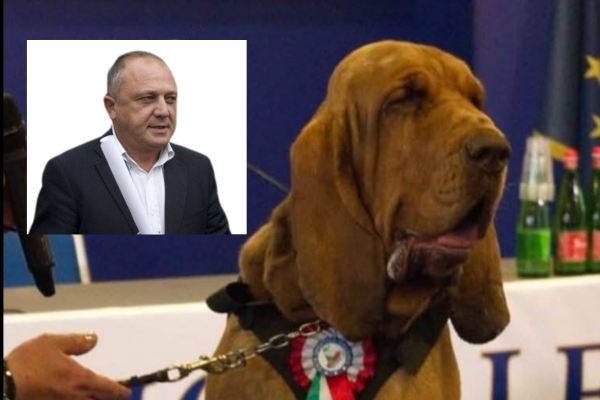 L’avvocato Di Lauro nel caso del cane molecolare ucciso a Taranto