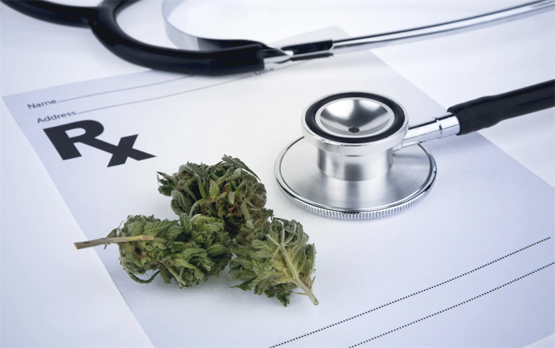 La cannabis terapeutica per la terapia del dolore alla Asl di Bari
