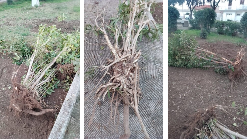 Giostrine al posto del verde. I residenti protestano