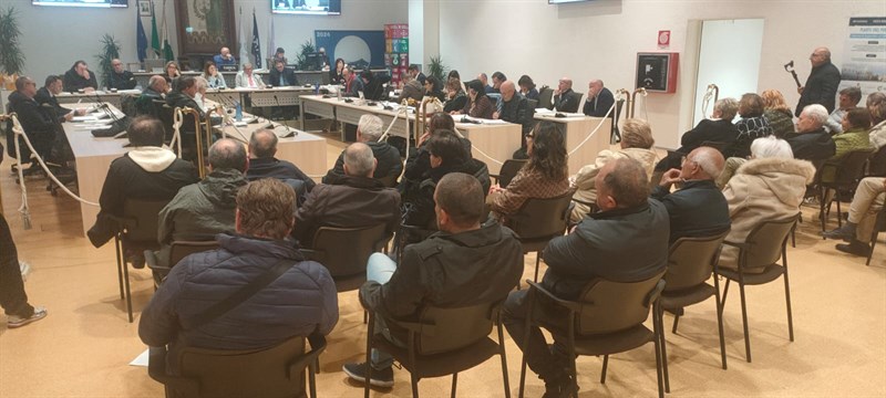 La maggioranza Pecoraro decide: il viale alberato sarà abbattuto