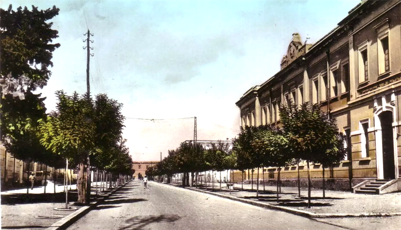 Viale Mancini, Manduria, anno 1956