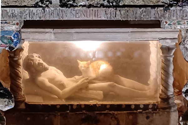 Gatto sul Cristo