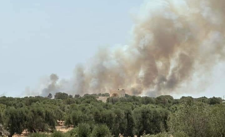 Un altro incendio minaccia le case di Maruggio e distrugge la vegetazione circostante