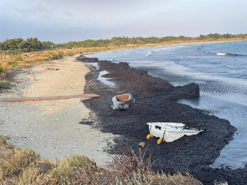 "La spiaggetta di Colimena, un tesoro dimenticato e offeso"