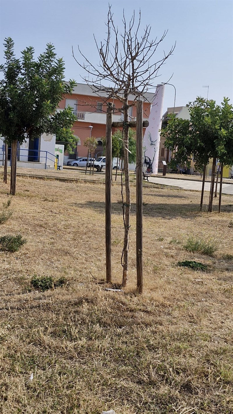 Così il verde pubblico a Manduria