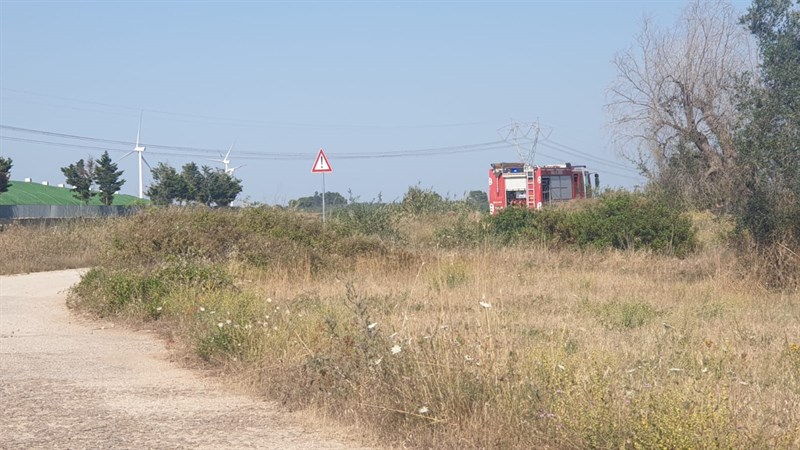 Incendio sfiora la vecchia discarica ma distrugge  interi uliveti
