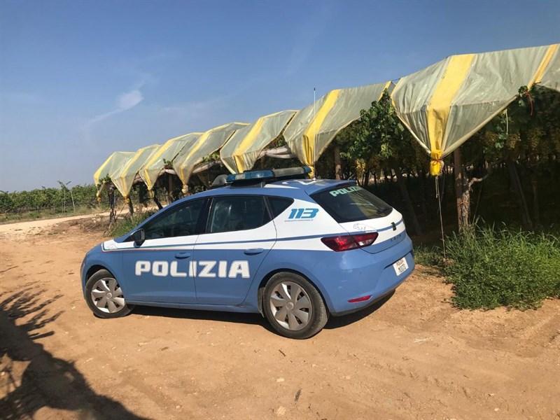 Polizia vigneto