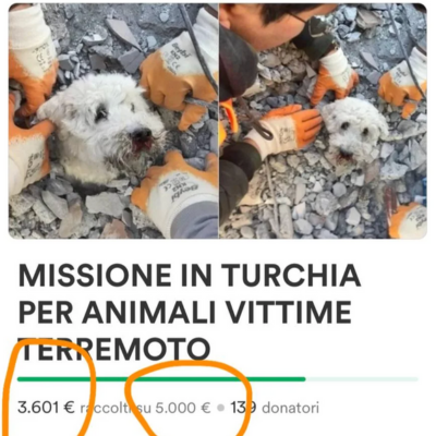 Luci e ombre su Enrico Rizzi