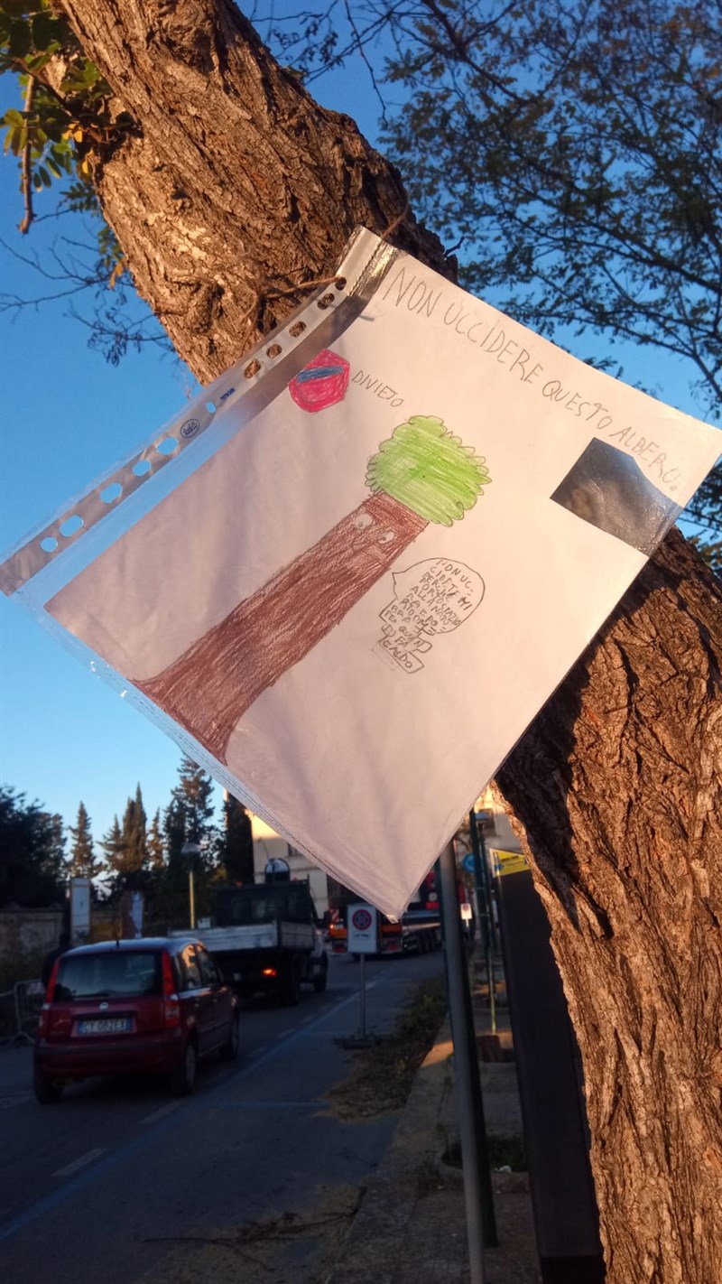 Riflessioni di una mamma sul taglio degli alberi del viale