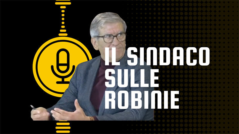 Il sindaco sulle robinie: saranno recise perchè così abbiamo deciso 